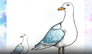 Как нарисовать Чайку