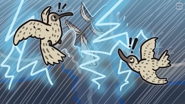 Кто такие птицы?