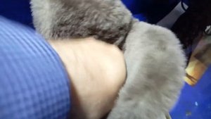 Обзор ботинок вип трэвл от хсн для похода