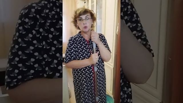 Комплект для уборки Hausmann Virginia швабра для мытья полов и ведро с отжимом. Швабра огонь ??? смотреть онлайн