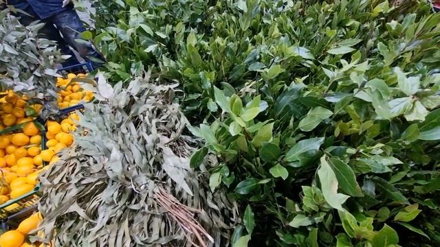 Фуд Сити МОСКВА 2022 Февраль \ Закупились Фруктами Ягодами \ Большой ОБЗОР ЦЕН \ Сколько Потратили? смотреть онлайн