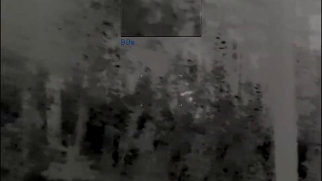 Pulsar Axion XM30S Thermal Monocular - Muley_01 - Showing Antlers смотреть онлайн