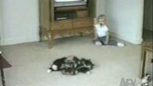 Домашние помощники