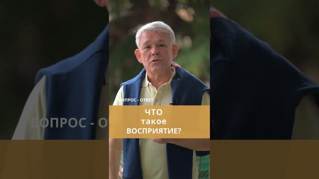 Что такое восприятие?