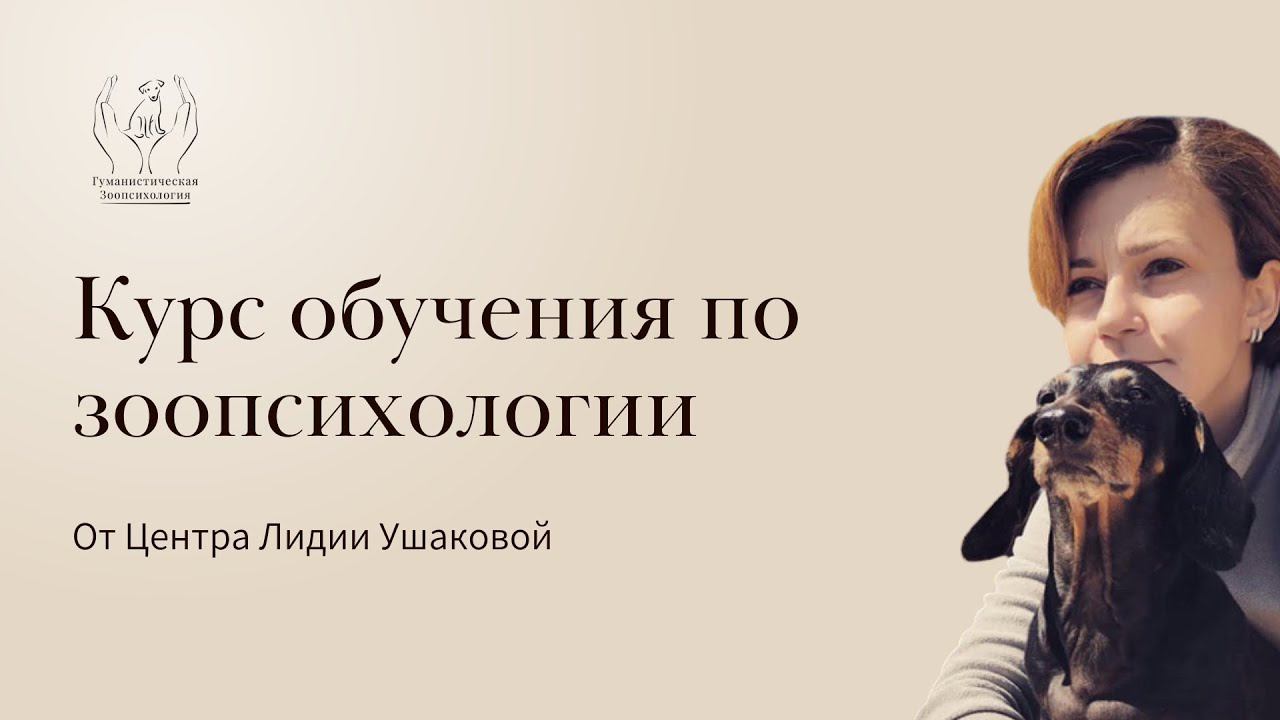 Онлайн курс обучения по зоопсихологии смотреть онлайн
