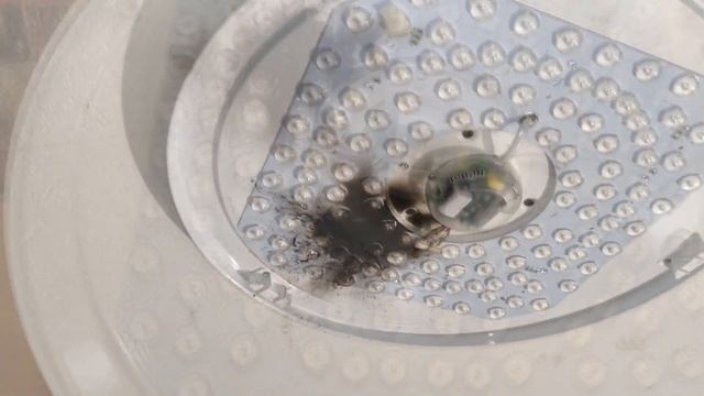 Люстра с пультом управления Светильник светодиодный потолочный LED . смотреть онлайн