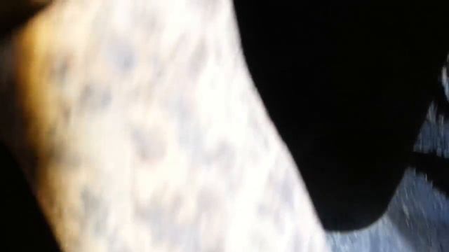 Авто распил сюрприз для хозяина (Приморье) смотреть онлайн