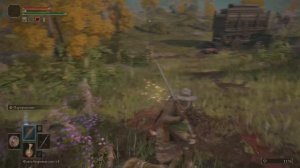 ELDEN RING Ограбление Каравана