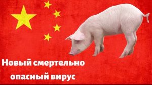 Китае обнаружен опасный вирус, грозящий новой пандемией,ВОЗ предупреждает, что худшее еще впереди!