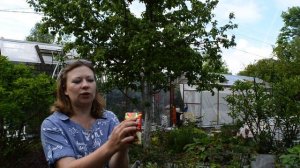 Как Защитить Яблоню От Плодожорки | Вредители яблони весной