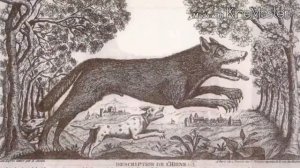 Неизвестные Животные Планеты Земля 077 - Жеводанский Зверь