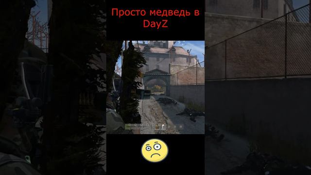 Медведь в DayZ #сервертвояистория #баги #приколы #игры #юмор #dayz #дейз #gameplay #животные #short