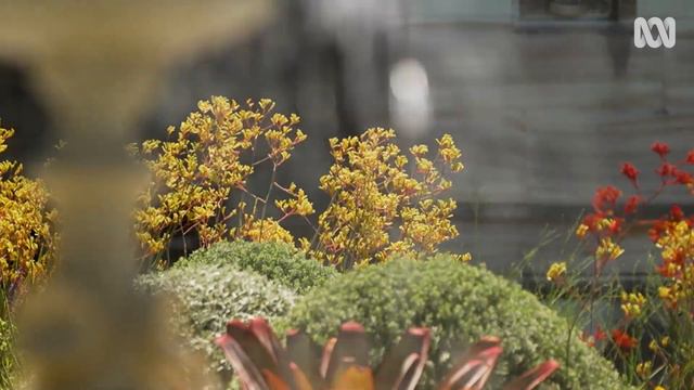 A landscape architect bringing wilderness to city spaces | Gardening Design | Gardening Australia смотреть онлайн