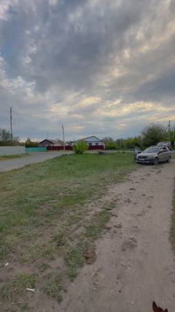 Приехали за замер дверей в Крыловку с собаками 🦮🐕🦺.Роял-двери.