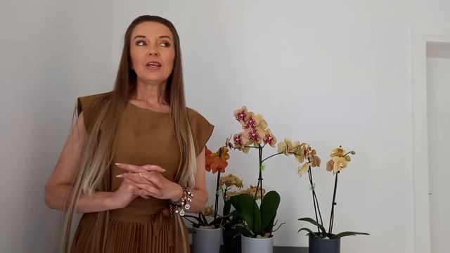 Коричневые Орхидеи ???Rudų atspalvių Orchidėjos ???Braune Orchideen???Brown Orchids??? смотреть онлайн