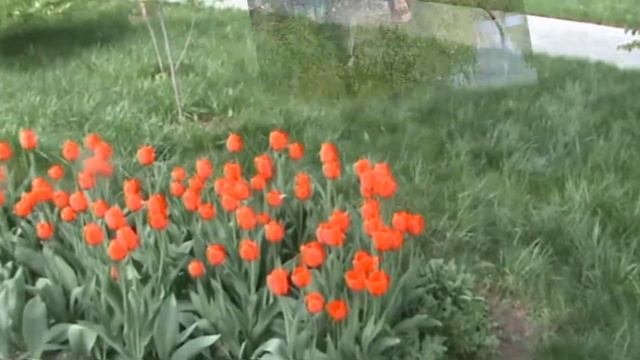 Прогулка по парку г Усть Каменогорска смотреть онлайн