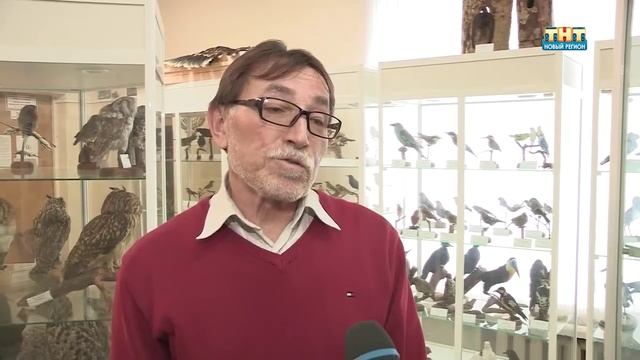 Ижевск, считай. Птицы смотреть онлайн