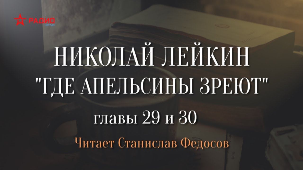 Николай Лейкин. «Где апельсины зреют». Аудиокнига. Главы 29 - 30