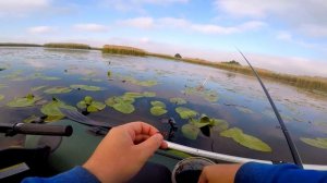 Рыбалка на карася в зарослях КУВШИНКИ. Активный  клёв на поплавочную удочку. Рыбалка на поплавок .