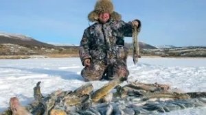 Поездка на Ильчир за Налимами. 2018-11-01