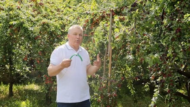 Лучшая подпорка для сохранности урожая