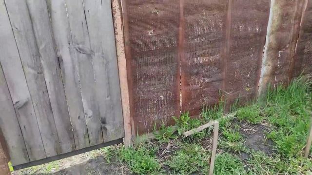 САЖАЕМ КАРТОФЕЛЬ/КУКУРУЗУ/БУДЕМ ЖИТЬ НА ОГОРОДЕ смотреть онлайн