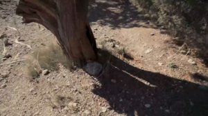 Зимой на море. Крым в январе на машине.