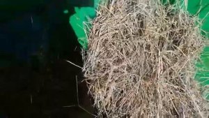 Пресс гидравлический для упаковки сена и соломы.