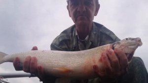 Мой самый большой Сиг в жизни.