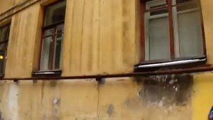 Мы идем на экскурсию по необычным дворам и парадным Петербурга