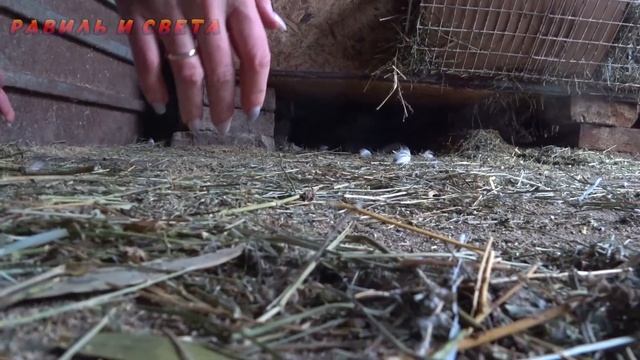 ПРИГОТОВИЛИ ОЧЕНЬ ВКУСТНЫЙ ХЛЕБ / ПОСЫЛКА ИЗ КИТАЯ / @деревенская жизнь #деревня #влог #казахстан