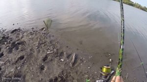 Небольшая вечерняя рыбалка, купил фидерное удилище EastShark TURBO feeder 100-180 g 3,6m