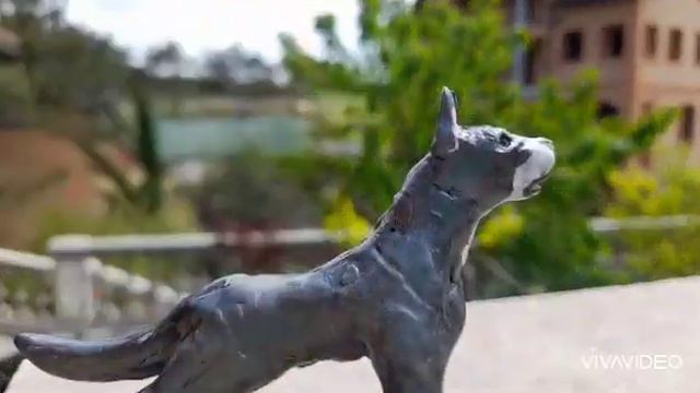 💋Обзор на самолепа стафотширского терьера 💋 смотреть онлайн