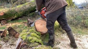 Husqvarna 357XP Chainsaw Cutting Big Logs