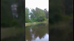 Романтика 2 мотор болотоход 7 л.с. редуктор ,винт 8 1/2  скорость 32-33 км.ч.