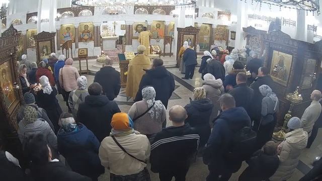 Прямая трансляция Князь-Александровский храм
