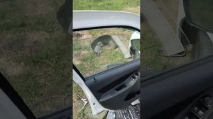 лада гранта вода в ногах водителя