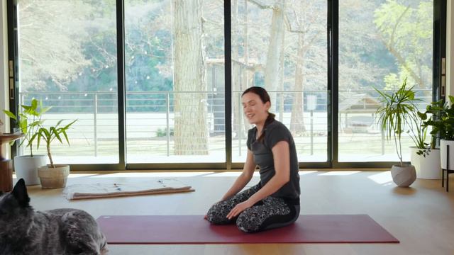 Dedicate - Day 23 - Joyful смотреть онлайн