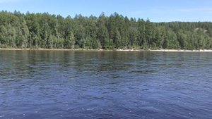 Федосеевские лобаза . Экспедиция по реке Зее