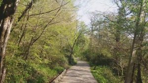 #СОЧИ#ДАГОМЫС Хорошо подумайте стоит ли ехать в#САНАТОРИЙ  имени  Н.А. Семашко!!"#САМОЕСИНЕЕВМИРЕ