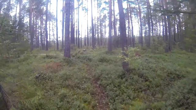 Юбилейный 30-й сплав по р.Уролка 2018г. смотреть онлайн