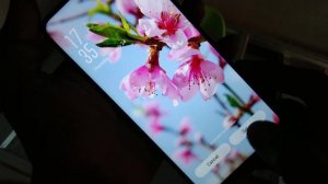 How to set Wallpaper theme in Oppo F9