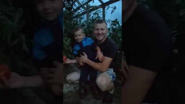 Неизвестный нам,но очень крупный сорт помидоров. Сезон 2021г. август месяц.