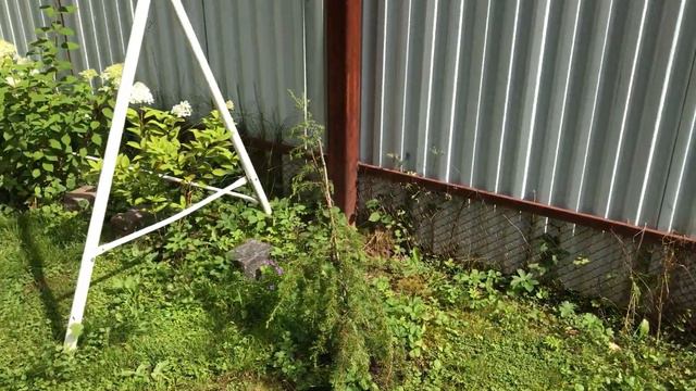 Моя любимая дача 24 августа 2017 года. смотреть онлайн