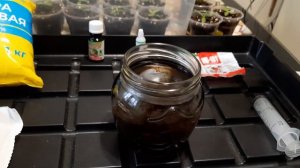 СХЕМА ПОДКОРМОК ЭУСТОМЫ.