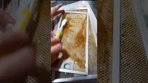 Тест. Обзор средство для удаления жира. Вечная проблема чем и как очистить жир. Для духовок и плит