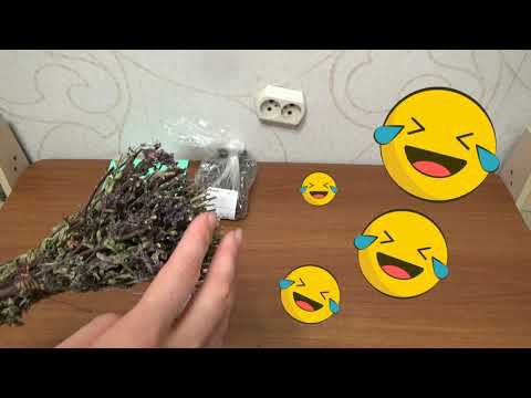 Art Manij Обзор покупок с отдыха