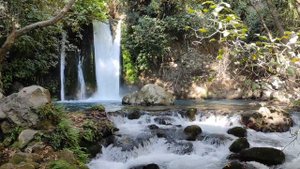 Баниас.Река Хермон.Заповедники Израиля#Hermon Stream.Banias.Nature Reserve#שמורת הבניאס