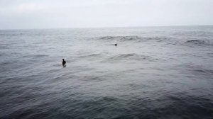 SURFING - TENERIFE NORTH SHORE