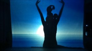 ШОУ ТЕНЕЙ НА СВАДЬБУ. Шоу теней от проекта SHIK-BALET